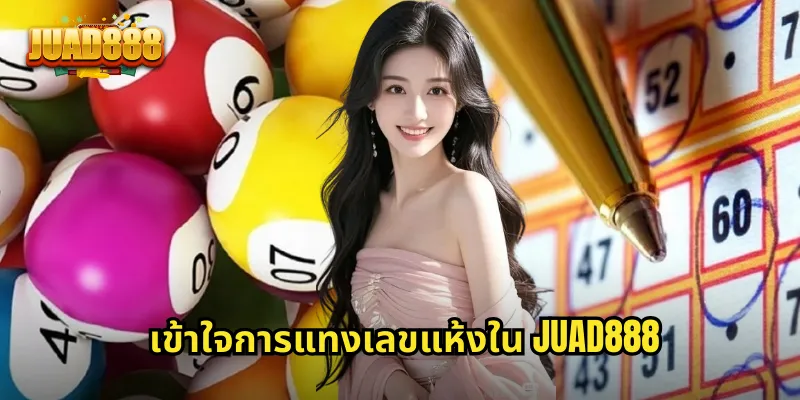 เข้าใจการแทงเลขแห้งใน JUAD888